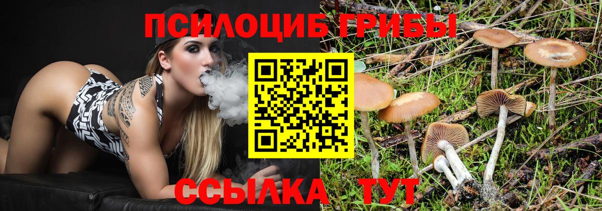 Галлюциногенные грибы прущие грибы  Галлюциногенные грибы Cubensis  Ревда  Вход с VPN 