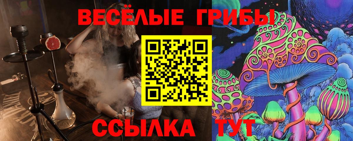 Галлюциногенные грибы Psilocybe Ревда